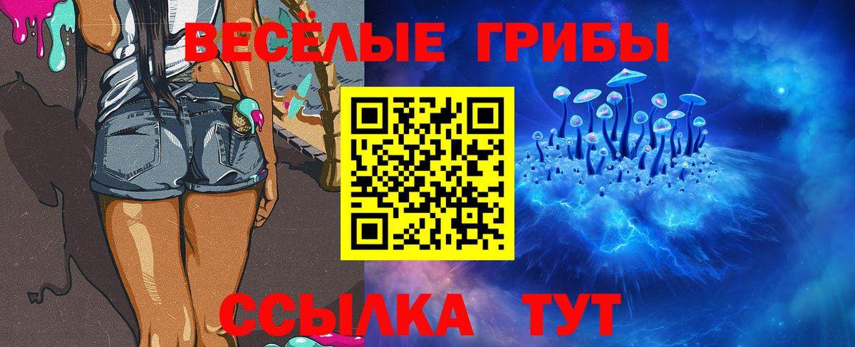Тара  Галлюциногенные грибы GOLDEN TEACHER  Вход с VPN 