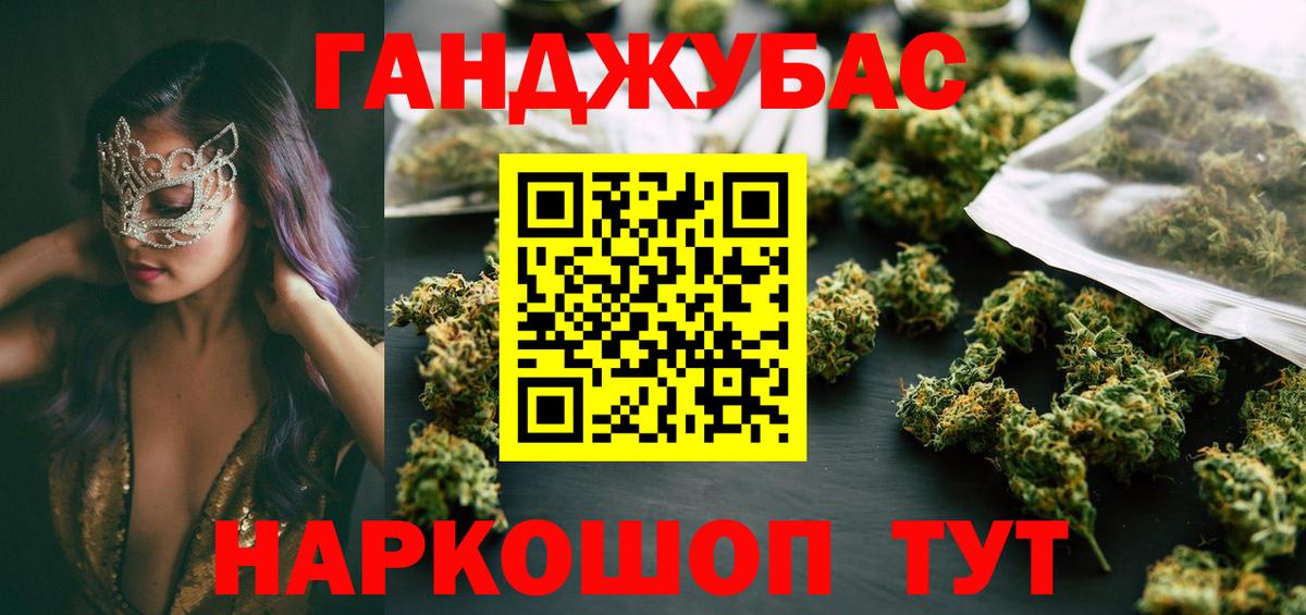 Тара  Бошки Шишки планчик  Вход с VPN  Конопля сатива  Марихуана марихуана 